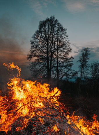 jan-kopriva-0yOD54Ur5EU-unsplash